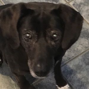 Meet your Posher, Carla